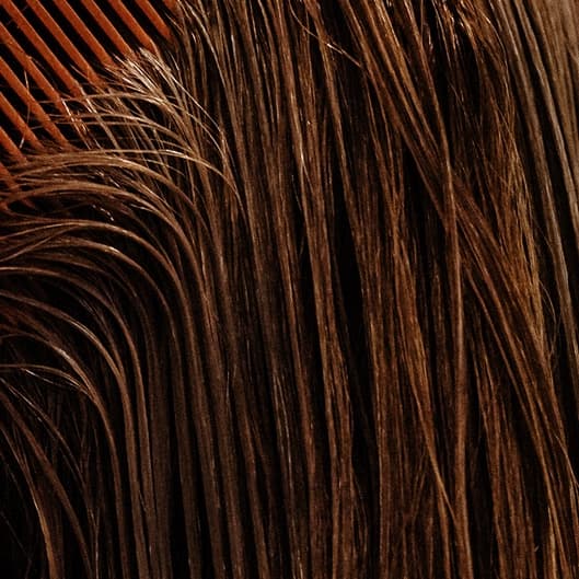 Sleek & Shine Jumbo Membership at Beauty By Baylee in Enid, OK